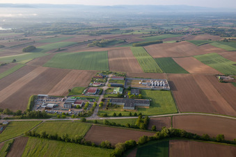 Aerial photograpy of Niederlauterbach in the state Bas-Rhin, France