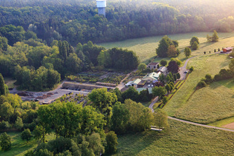 Aerial view of Bienwald tree nursery / Greentec in Berg in the state Rhineland-Palatinate, Germany