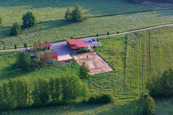 Horse paddock in Berg in the state Rhineland-Palatinate, Germany