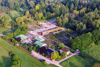 Bienwald tree nursery / Greentec in Berg in the state Rhineland-Palatinate, Germany from above