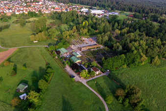 Bienwald tree nursery / Greentec in Berg in the state Rhineland-Palatinate, Germany out of the air