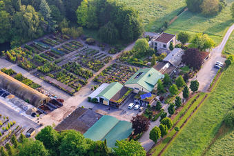 Bienwald tree nursery / Greentec in Berg in the state Rhineland-Palatinate, Germany from the plane