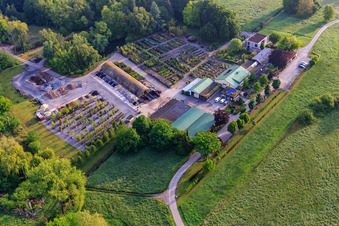 Bird's eye view of Bienwald tree nursery / Greentec in Berg in the state Rhineland-Palatinate, Germany