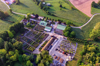 Drone recording of Bienwald tree nursery / Greentec in Berg in the state Rhineland-Palatinate, Germany