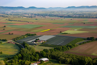 Fruit cultivation plantation of Obst- and Spagelhof Gensheimer in Winden in the state Rhineland-Palatinate, Germany