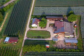 Gensheimer fruit and spagel farm in Steinweiler in the state Rhineland-Palatinate, Germany from above