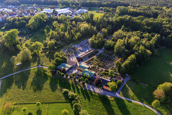 Bienwald tree nursery / Greentec in Berg in the state Rhineland-Palatinate, Germany from the drone perspective