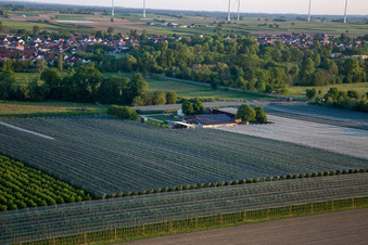 Gensheimer fruit and spagel farm in Steinweiler in the state Rhineland-Palatinate, Germany seen from above