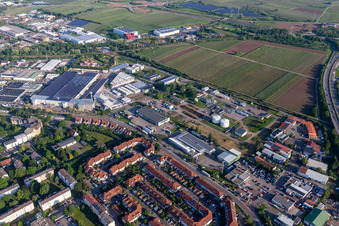 HNorstring with Der Bäder-Stern, Fritz Walter Eisen- und Sanitärhandel GmbH & Co. KG, MAN Truck & Bus Service Landau and Progroup AG in Landau in der Pfalz in the state Rhineland-Palatinate, Germany