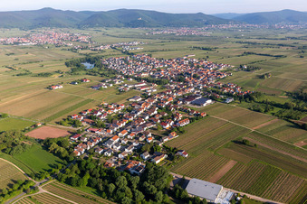 Oblique view of Village - view on the edge of agricultural fields and farmland in Kirrweiler (Pfalz) in the state Rhineland-Palatinate, Germany