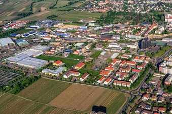 Mennonite Street and GLOBUS Neustadt an der Weinstraße in Neustadt an der Weinstraße in the state Rhineland-Palatinate, Germany