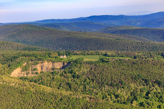 Odinstal winery behind the basalt quarry in Wachenheim an der Weinstraße in the state Rhineland-Palatinate, Germany