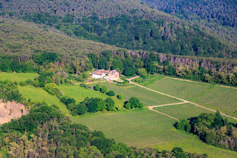 Aerial view of Odinstal winery behind the basalt quarry in Wachenheim an der Weinstraße in the state Rhineland-Palatinate, Germany