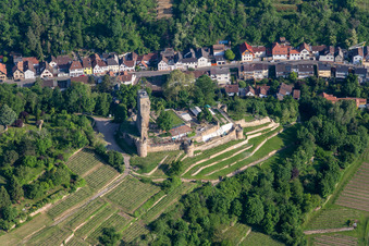Ruins of the former fortress Wachtenburg ("Burg Wachenheim") in Wachenheim an der Weinstrasse in the state Rhineland-Palatinate, Germany out of the air
