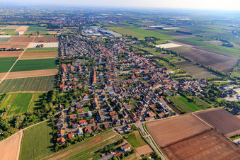 Oblique view of View of the town from the south in Fußgönheim in the state Rhineland-Palatinate, Germany