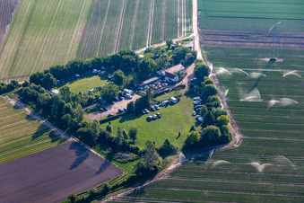 SV OG in Mutterstadt in the state Rhineland-Palatinate, Germany