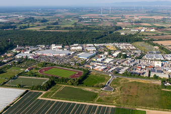 Mutterstadt in the state Rhineland-Palatinate, Germany