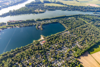 Marxweiher in Waldsee in the state Rhineland-Palatinate, Germany