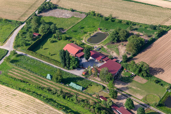 Biotope by Michael Schwager in Herxheim bei Landau in the state Rhineland-Palatinate, Germany