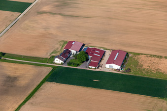 Aerial view of Rosenhof Wine and Sparkling Wine Estate in Steinweiler in the state Rhineland-Palatinate, Germany