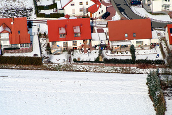 Hare catching in the snow in Freckenfeld in the state Rhineland-Palatinate, Germany