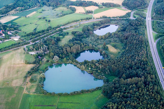 Beech lakes in the district Güttingen in Radolfzell am Bodensee in the state Baden-Wuerttemberg, Germany