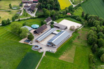 Homestead of a horse farm with Marstall and Longe in Sulz am Neckar in the state Baden-Wurttemberg, Germany