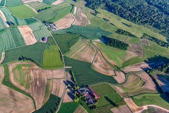 Learning path, Helmut Hurst in the district Legelshurst in Willstätt in the state Baden-Wuerttemberg, Germany