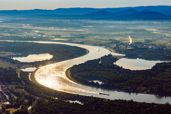 Curved loop of the riparian zones on the course of the river Rhine in Soellingen in the state Baden-Wurttemberg, Germany