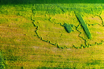 Wintzenbach in the state Bas-Rhin, France from a drone