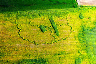 Wintzenbach in the state Bas-Rhin, France seen from a drone
