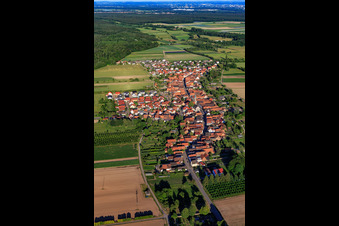 Village view from the northwest in Erlenbach bei Kandel in the state Rhineland-Palatinate, Germany
