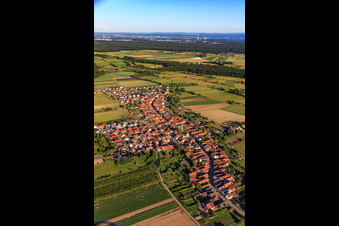 Oblique view of Village view from the northwest in Erlenbach bei Kandel in the state Rhineland-Palatinate, Germany