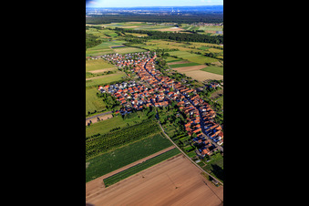 Village view from the northwest in Erlenbach bei Kandel in the state Rhineland-Palatinate, Germany from above