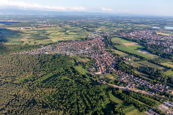 Oberhoffen-sur-Moder in the state Bas-Rhin, France from a drone