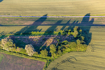 Aerial view of Jewish Cemetery in Trimbach in the state Bas-Rhin, France