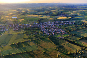 Aerial view of From the south in Steinfeld in the state Rhineland-Palatinate, Germany