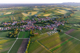 Village view from the north in Dierbach in the state Rhineland-Palatinate, Germany