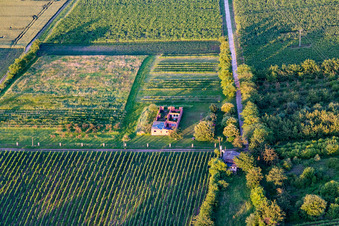 Building ruin in Barbelroth in the state Rhineland-Palatinate, Germany
