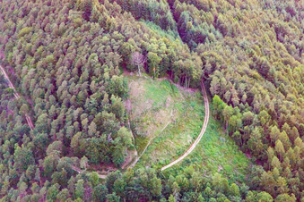 Aerial photograpy of Förlenberg paragliding launch site in Leinsweiler in the state Rhineland-Palatinate, Germany