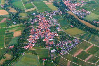 Winegrowers' village in the evening light from the west in the district Heuchelheim in Heuchelheim-Klingen in the state Rhineland-Palatinate, Germany
