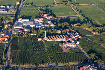 Bordmühle district with Autohaus Schreieck GmbH and Richard Gerlinger GmbH & Co. KG in Kirrweiler in the state Rhineland-Palatinate, Germany