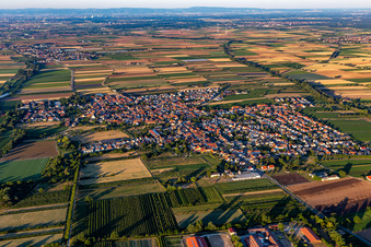 From the west in Niederkirchen bei Deidesheim in the state Rhineland-Palatinate, Germany