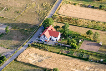 Oblique view of Litzelstetter Street in the district Wollmatingen in Konstanz in the state Baden-Wuerttemberg, Germany