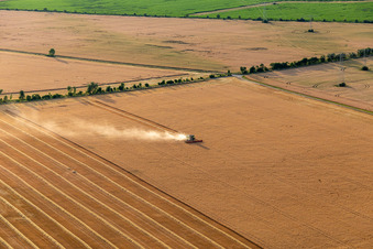 Aerial view of Rapeseed harvest in the district Mühlberg in Drei Gleichen in the state Thuringia, Germany