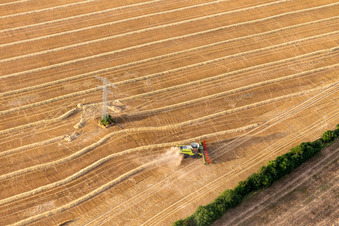 Oblique view of Rapeseed harvest in the district Mühlberg in Drei Gleichen in the state Thuringia, Germany
