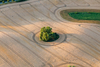 Round structure from glacier remain on a field in Gerswalde in the state Brandenburg, Germany
