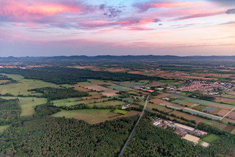 Riding and Driving Club eV in Zeiskam in the state Rhineland-Palatinate, Germany