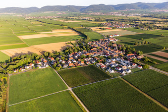 Agricultural land and field borders surround the settlement area of the village in Kleinfischlingen in the state Rhineland-Palatinate, Germany