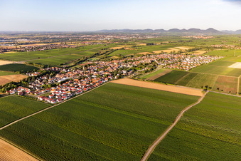 Agricultural land and field borders surround the settlement area of the village in Essingen in the state Rhineland-Palatinate, Germany out of the air